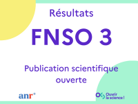 FNSO : les rsultats