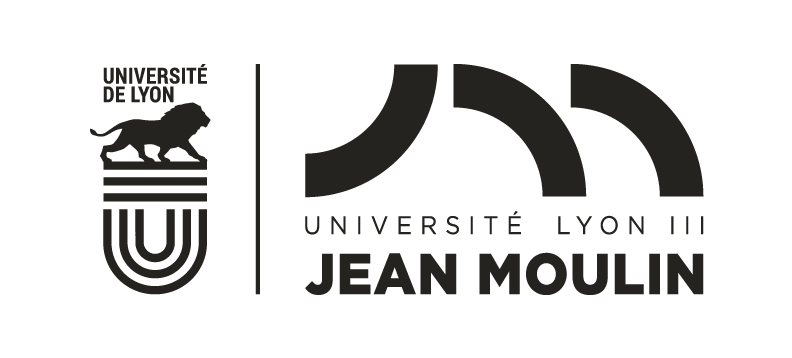 Universit Jean Moulin Lyon 3